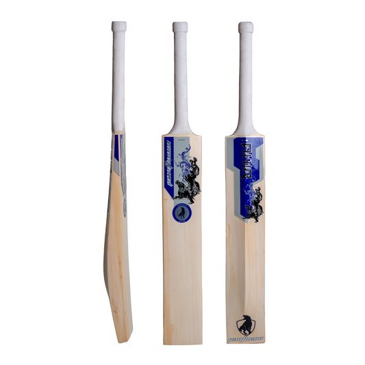 Grade 1 Ahir Pantheon English Willow Cricket Bat