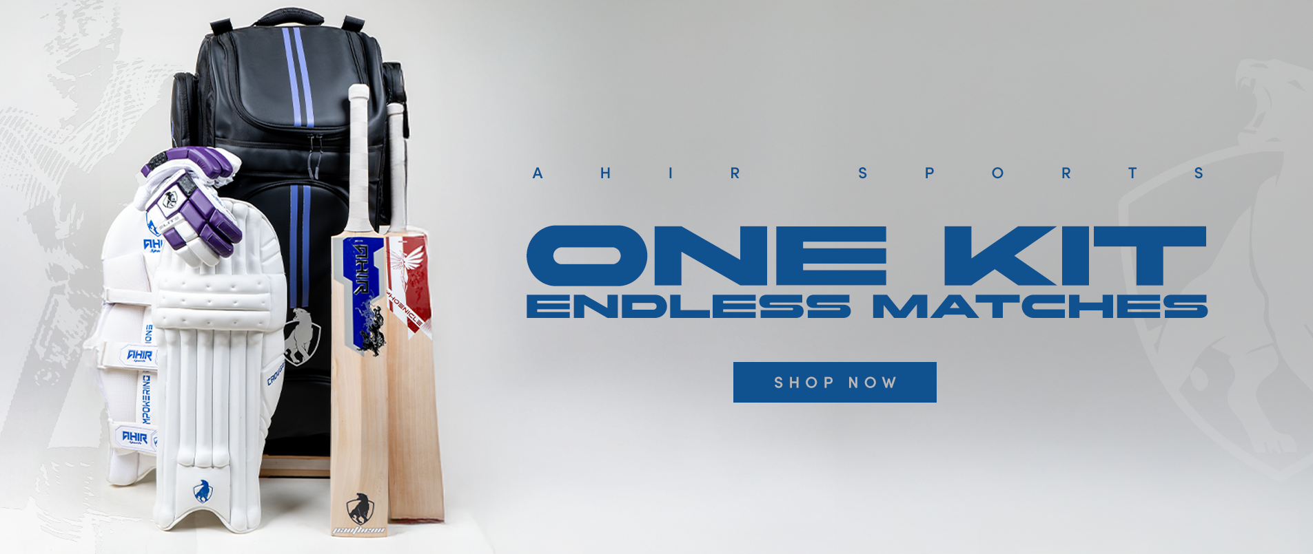 Ahir sports